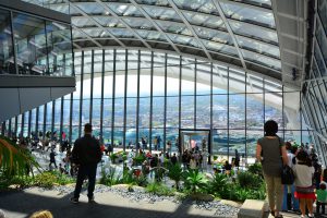 Sky garden above offices to rent in the City of London